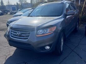 Hyundai Santafe 2010