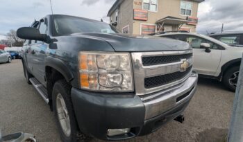 Chevrolet Silverado Z71 2010 full